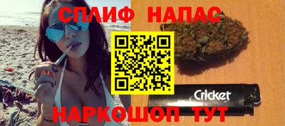 гашик Кулебаки
