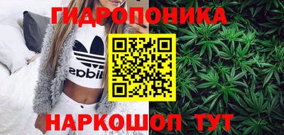 гашик Кулебаки