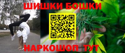 гашик Кулебаки